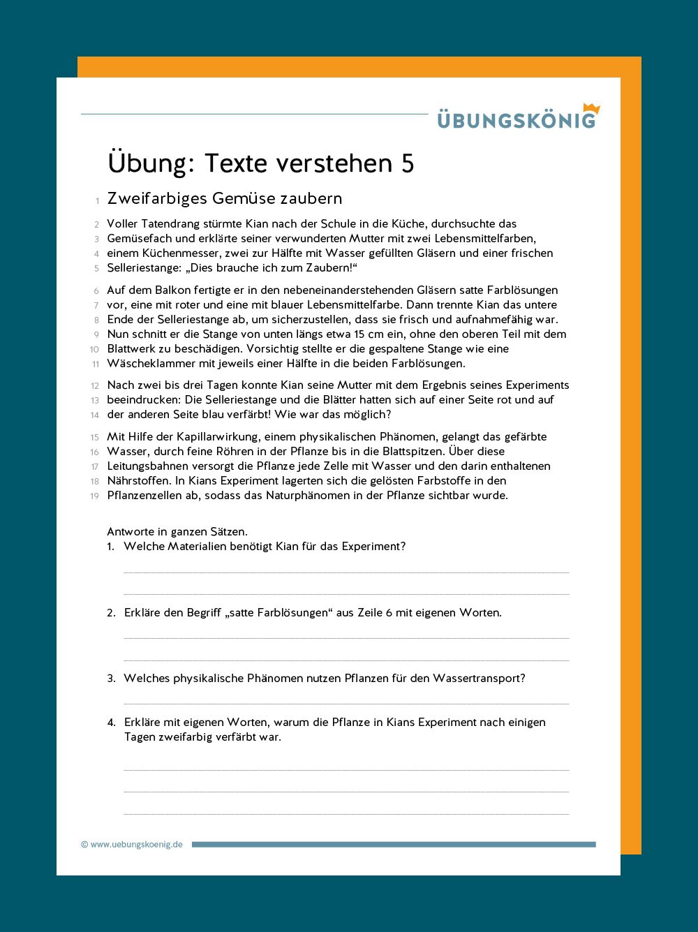 Sachtexte klasse 5 übungen pdf mit lösungen